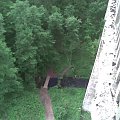 Lasek i strumyk- widok z mostu w Stańczykach