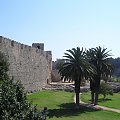 Widok na obrzeża starego miasta #Rodos #ruiny #StareMiasto #palma #roślinki #egzotyczne