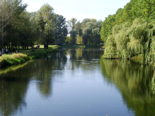 TORUŃ - PARK MIEJSKI I MARTÓWKA #FaunaIFlora