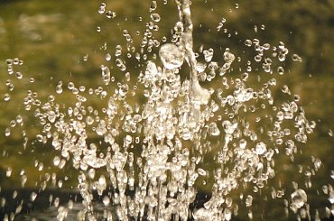 #słońce #rosa #krople #pajeczyna #liście #jesień #drzewa #kwiaty