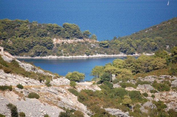 Mljet