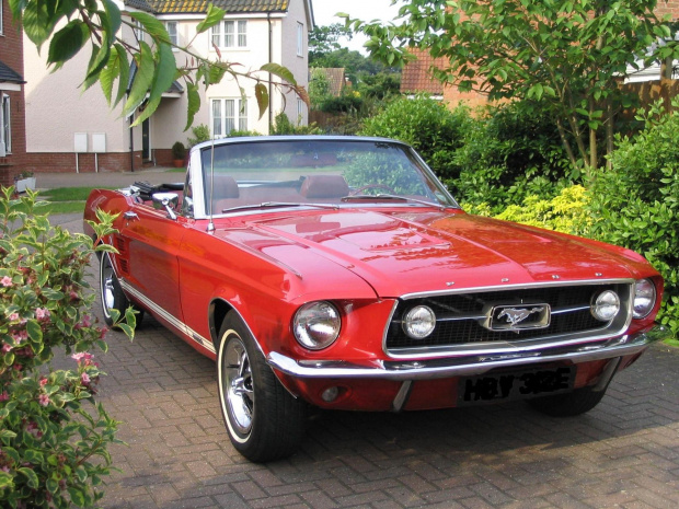 Ford Mustang