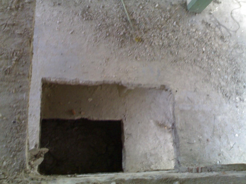 Pavlov 74