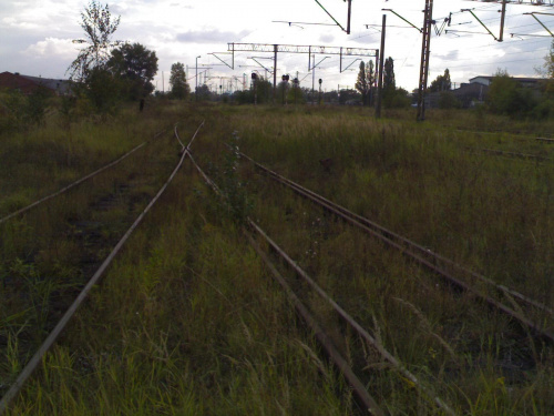 Teren 24