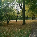 Jesień