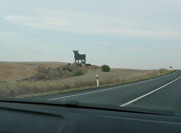 Cadiz - powrot - el toro